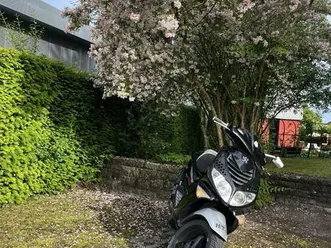 verkaufe/ tausche peugeot speedfight 2