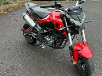2023 benelli tnt135