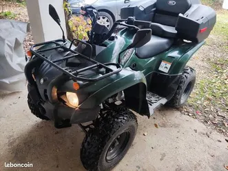 quad grizzly 300