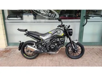 vendo benelli leoncino 250 (2021 - 25) usata a gavi (codice 9879108) - moto.it