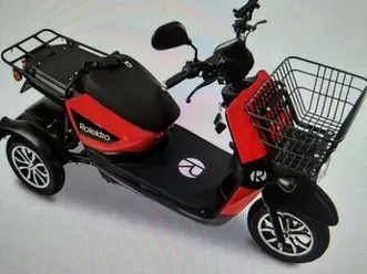 elektromobil rolektro e-carrier 25v.3 lithium ohne koffer