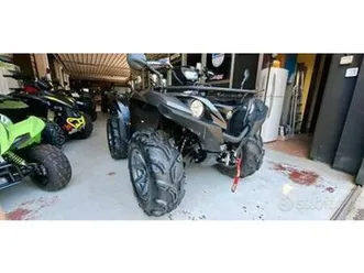 quad yamaha grizzly 700 per intenditori..leggi ben