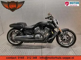 harley-davidson v-rod muscle vrscf (bj 2013) — motoren | harley-davidson — marktplaats