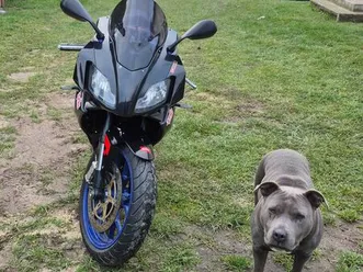 aprilia rs 125 maly przebieg garwolin