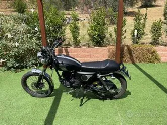 mash fifty 50 - 2020