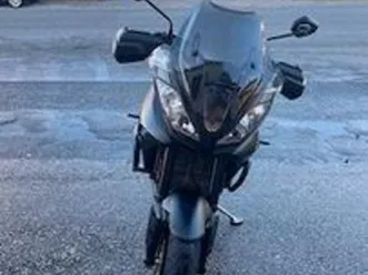 triumph tiger - 2019