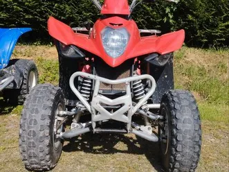 quad 250 kxr