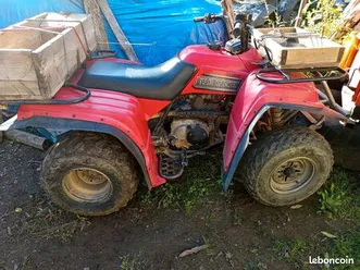 quad yamaha 250