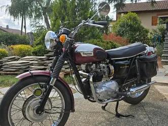 triumph t 100r daytona