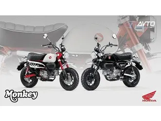 honda z125ma monkey abs