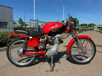 benelli leoncino bassotto