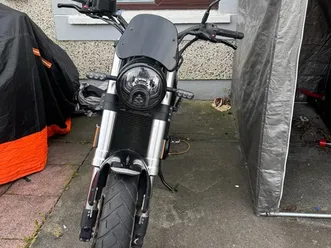 benelli leoncino 500