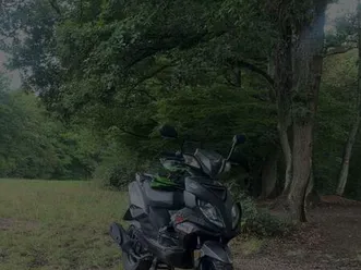 explorer race gt 50 bj 2017