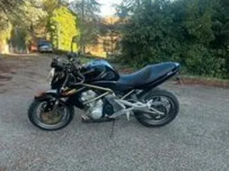 er6n depotenziata a2