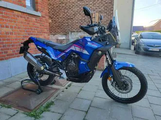 world rally peterhansel