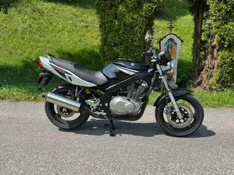 suzuki gs 500