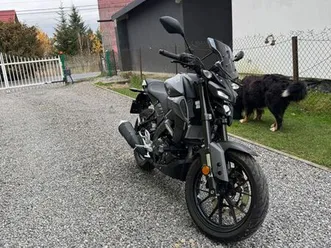 yamaha mt125 **2025r** rzeszów
