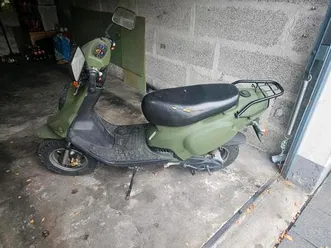 pegasus sky 50 taiwan golden bee