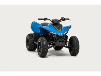 cfmoto cforce 110 kinder quad efi fernbedienung sofort verfügbar
