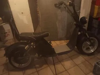 e-chopper futura hl 3.0