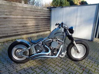 harley-davidson fat boy custom