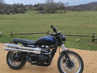 triumph - scrambler 900
