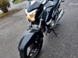 suzuki inazuma 250
