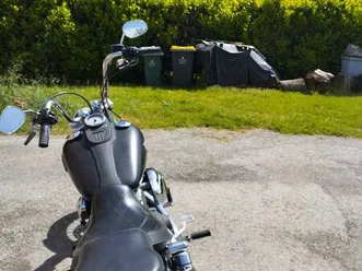 superbe streetbob harley davidson 1584