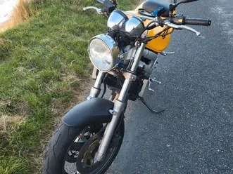 suzuki 650 sv n