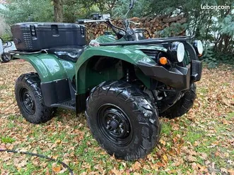 quad 450 grizzly