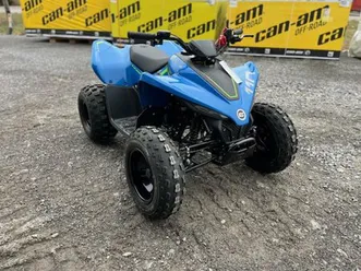 cfmoto cforce 110