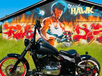 vn800 bobber, chopper tausch gegen boot möglich