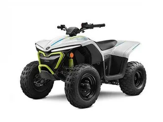 cfmoto cforce 110 ev elektro kinder quad + winteraktion