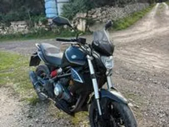 benelli bn302