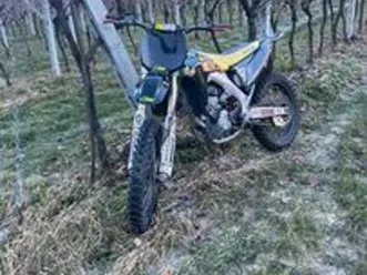 suzuki rmz 450