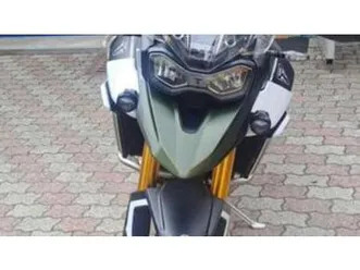tiger 900 rally pro (2024 - 25)
