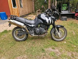 triumph tiger 955i motorrad