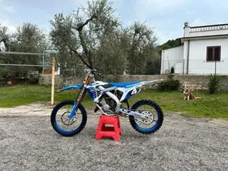 tm mx 125