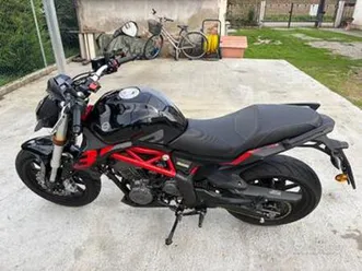 benelli bn 302 - 2020