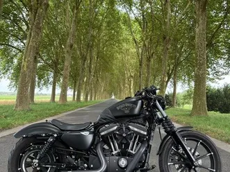 harley davidson iron 883