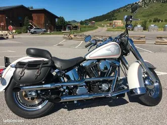 harley-davidson softail