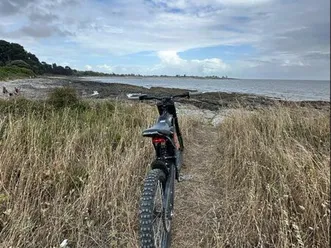 sur-ron light bee off-road