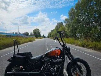 harley davidson street bob 114