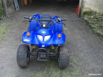 quad adly 50