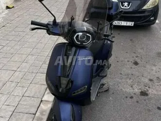 leonardo molde 11/2024