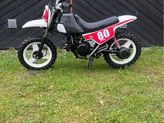 yamaha pw50