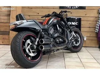 harley davidson night rod special