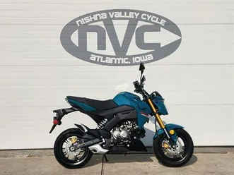 2021 kawasaki z125 pro