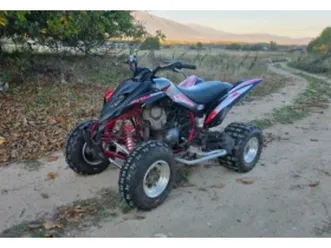 yamaha raptor