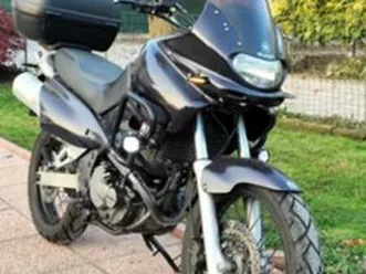 suzuki xf 650 куб.